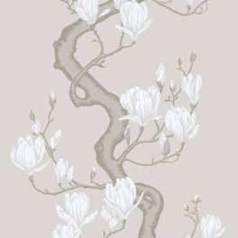 Купить премиальные шелковые обои Magnolia Tree арт. 128/10085 от Cole & Son из коллекции Classics II. Детализированный классический узор дерева Магнолия на кремовом фоне. Детальный рисунок, демонстрирующий качество печати.