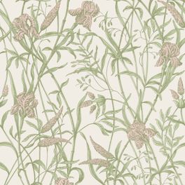 Купить премиальные обои  Iris арт. 128/5025 от Cole & Son из коллекции Classics II для стен. Детализированный рисунок цветков и листьев ириса на мягком кремовом фоне, демонстрирует качество печати. Английские обои для стен в спальне, гостинной, коридора или столовой.