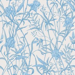 Купить премиальные обои  Iris арт. 128/5026 от Cole & Son из коллекции Classics II для стен. Детализированный рисунок цветков и листьев ириса в голубом исполнении на кремовом фоне, демонстрирует качество печати. Английские обои для стен в спальне, гостинной, коридора или столовой.