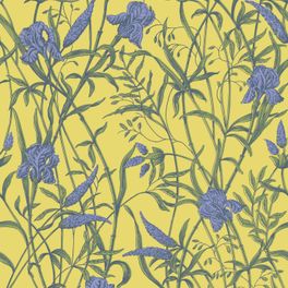 Купить премиальные обои  Iris арт. 128/5027 от Cole & Son из коллекции Classics II для стен. Детализированный рисунок цветков и листьев ириса на желтом лютиковом фоне, демонстрирует качество печати. Английские обои для стен в спальне, гостинной, коридора или столовой.