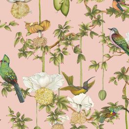 Детальный фрагмент флизелиновых обоев Baobab Botanica Blush арт. 129/2005 от Cole&Son каталог Ardmore Baobab, детальная прорисовка баобаба и роскошных птиц на нежно-розовом фоне.