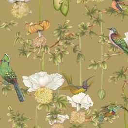 Детальный фрагмент флизелиновых обоев Baobab Botanica Safari арт. 129/2008 от Cole&Son каталог Ardmore Baobab, детальная прорисовка баобаба и роскошных птиц на оливково охристом фоне.