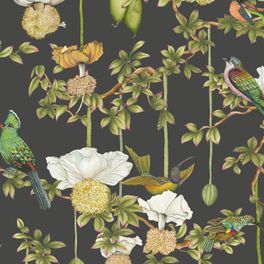 Детальный фрагмент флизелиновых обоев Baobab Botanica Onyx арт. 129/2009 от Cole&Son каталог Ardmore Baobab, детальная прорисовка баобаба и роскошных птиц на фоне цвета благородного Оникса.