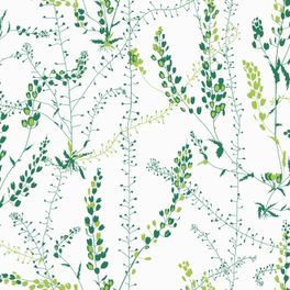 Флизелиновые обои из Швеции коллекция Scandinavian Designers II от Borastapeter, с рисунком под названием Bladranker полевые цветы в зеленом цвете на белом фоне. Обои для кухни, обои для спальни. Купить обои, онлайн оплата, бесплатная доставка