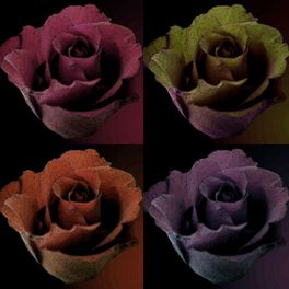 Панно из коллекции "Renaissance",4 огромных бутона роз, в 4-х различных цветах: розовый, салатовый, оранжевый и сиреневый
