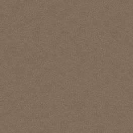 Однотонные обои Kyoto Crepe арт. 3137 из коллекции Eastern Simplicity от Borastapeter в шоколадно-коричневых оттенках с фактурой ткани выбрать из ассортимента салонов Одизайн.