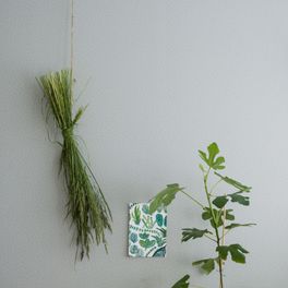 Воздушный рисунок поля маргариток мелкими мазками. Шведские обои BELLIS из коллекции Eco "Simplicity" арт 3687. Заказать в интернет-магазине. Бесплатная доставка. Большой выбор обоев. Экологичные обои