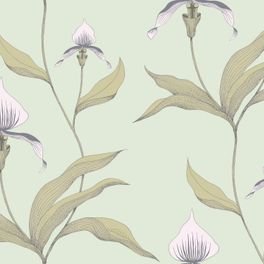 Обои Orchid с изображением бледно-сиреневых орхидей на светло-зеленом фоне. Плавные контуры, тонкие линии и штриховка передают объем и красоту каждого цветка. Выбрать, заказать обои для спальни, гостиной в интернет-магазине, онлайн оплата.