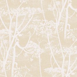 Обои Cow Parsley от Cole & Son с рисунком стеблей лесного купыря, увенчанных пышными зонтиками, выделяющихся на небрежно заштрихованном песочном фоне. Английские обои. Купить обои для комнаты в салонах ОДизайн.