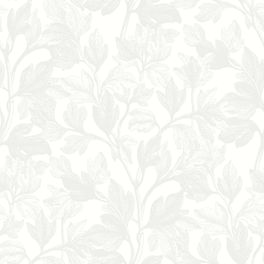 Легкий растительный рисунок извивающихся ветвей Фигового дерева. Шведские обои из коллекции Eco "White & Light" арт.7167.Заказать в интернет-магазине. Бесплатная доставка.Большой выбор обоев. Экологичные обои