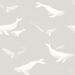 Обои  из Швеции коллекция Newbie, с рисунком под названием 
Whales в серых тонах 
на которых детально прорисованы киты , идеально подойдут для спален детей. Шведские обои купить, салон обоев ОДизайн, в интернет-магазине, бесплатная доставка, оплата онлайн, большой ассортимент