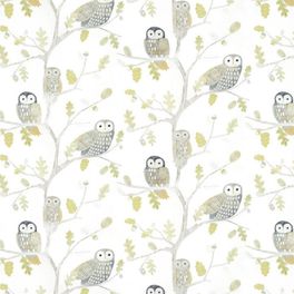 Заказать обои для детской Little Owls 112627 от Harlequin с изображением очаровательных сов, сидящих на дубовых ветках в мягких оттенках зеленого, серого и охры в интернет-магазине.
