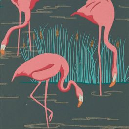 Оформить заказ обоев в прихожую арт. 112156 дизайн Salinas из коллекции Salinas от Harlequin, Великобритания с изображением фламинго розового цвета на черном фоне в интернет-магазине, онлайн оплата, бесплатная доставка до дома