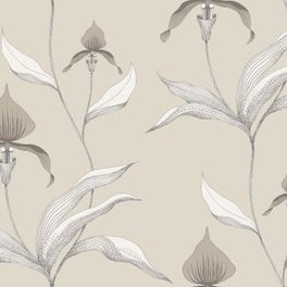 Обои Orchid с изображением графичных орхидей на дымчато-сером фоне. Плавные контуры, тонкие линии и штриховка, мастерски передают объем и красоту каждого цветка. Купить английские обои для комнаты, бесплатная доставка.