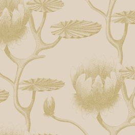 Обои Lily - классический цветочный дизайн Cole & Son с водяными лилиями золотого цвета на льняном фоне, напоминающими иллюстрацию из старинной книги. Обои для гостиной, обои для спальни. Купить обои в салоне ОДизайн.