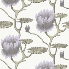Обои Summer Lily - классический цветочный рисунок Cole & Son в уменьшенном масштабе. Графичные водяные лилии сиреневого цвета на молочном фоне/ Обои для гостиной, обои для спальни. Купить обои в салоне ОДизайн.