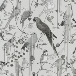 Купить флизелиновые обои от Christian Lacroix  PCL7017/08 с символичным рисунком из экзотических птиц и растений, выполненный в монохроме.