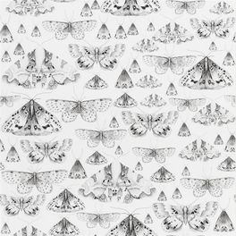 Черные мотыльки и бабочки на белом фоне из каталога Jardin Des Plantes от Designers guild,пр-во Великобритания. Заказать дизайн Issoria с доставкой на дом.
