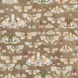 Дизайнерские обои Issoria для гостиной с мотылями и бабочками на фоне цвета пергамента из коллекции Jardin Des Plantes от Designers guild,пр-во Великобритания в салоне обоев в Москве