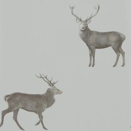 Флизелиновые обои для гостиной Evesham Deer из коллекции Elysian от Sanderson арт. 216619  с изображением оленей сером фоне можно выбрать на сайте odesign.ru