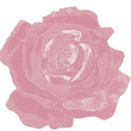 Фотообои DM212-3 с стилизованным рисунком крупной розы розового цвета, как-будто нарисованной широкой кистью на белом фоне. Купить обои в Москве, шведские обои, фотообои, салон обоев, магазин обоев, бесплатная доставка.