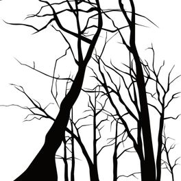 Фотообои DM215-2 с графичным рисунком из стилизованных деревьев черного цвета на белом фоне. Купить обои в Москве, шведские обои, фотообои, салон обоев, магазин обоев, бесплатная доставка.
