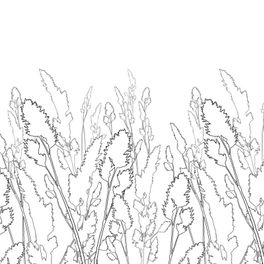 Фотообои DM220-4 с изображением контура полевых сухоцветов серого цвета на белом фоне. Купить обои в Москве, шведские обои, фотообои, салон обоев, магазин обоев, бесплатная доставка.