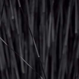 Флизелиновые фотопанно из Швеции коллекция Photo от Mr.PERSWALL под названием Bamboo. Спокойные фотообои с изображением бамбука в черно-белом цвете идеальны для спальни,